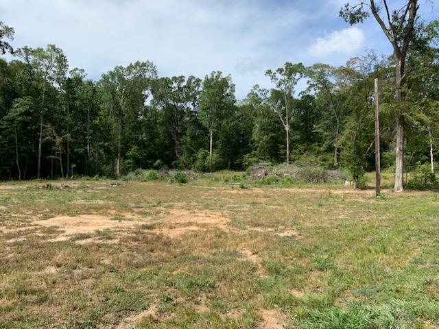 750 County Road 172, Jasper, TX 75951 - photo 8