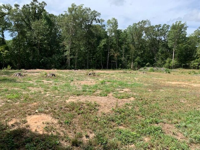 750 County Road 172, Jasper, TX 75951 - photo 25