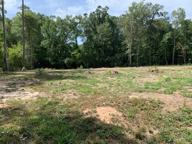750 County Road 172, Jasper, TX 75951 - photo 24