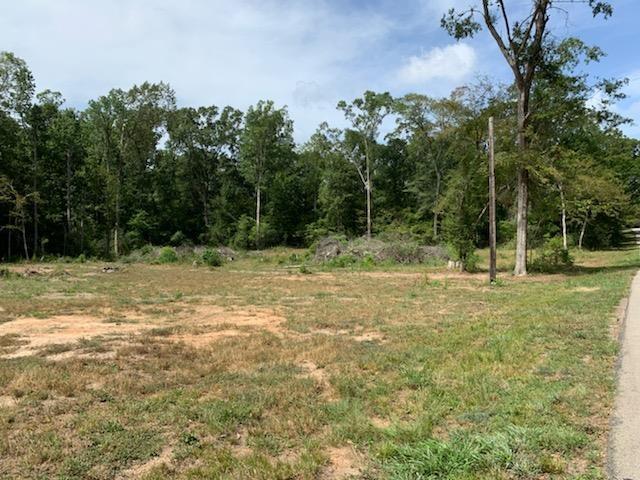 750 County Road 172, Jasper, TX 75951 - photo 9