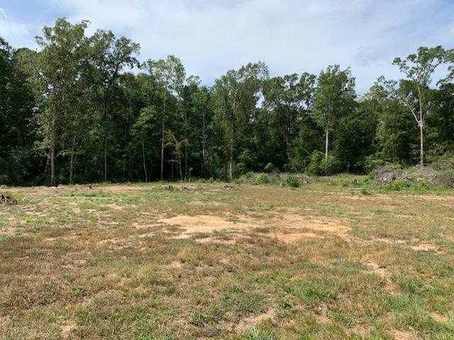 750 County Road 172, Jasper, TX 75951 - photo 1