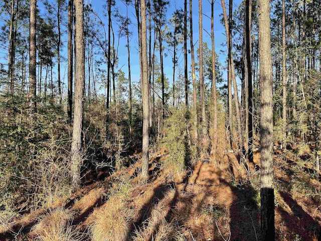 TRACT1-90 Private Road 6028, Brookeland, TX 75931