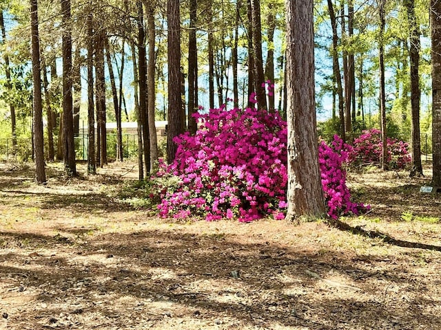 179 County Road 4587, Spurger, TX 77660 - view of yard