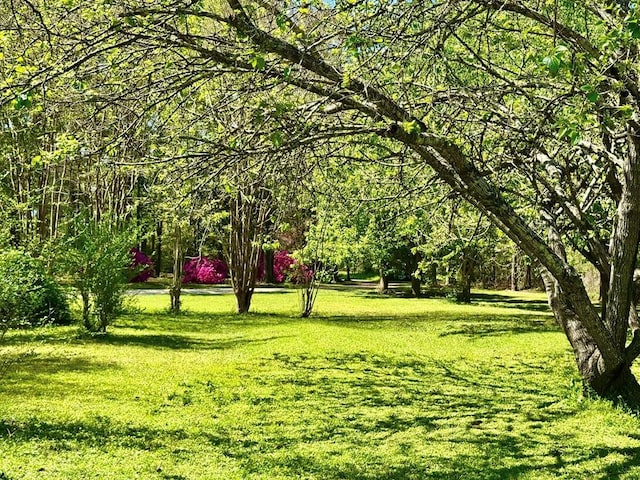 179 County Road 4587, Spurger, TX 77660 - view of home's community featuring a yard