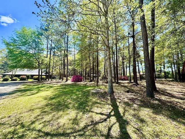179 County Road 4587, Spurger, TX 77660 - view of grassy yard