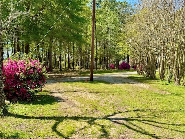 179 County Road 4587, Spurger, TX 77660 - view of home's community with a yard
