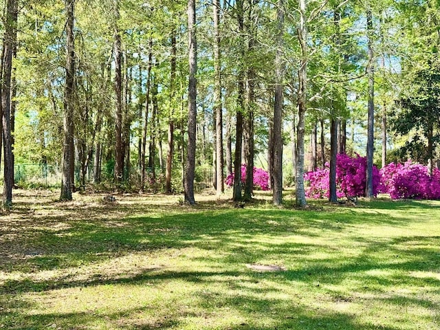 179 County Road 4587, Spurger, TX 77660 - view of green lawn