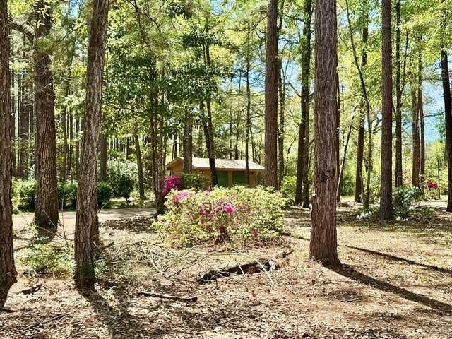 179 County Road 4587, Spurger, TX 77660 - view of local wilderness