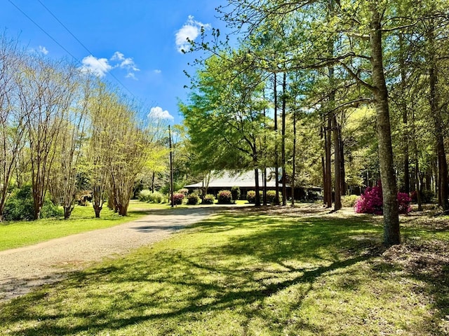179 County Road 4587, Spurger, TX 77660 - view of home's community featuring a yard