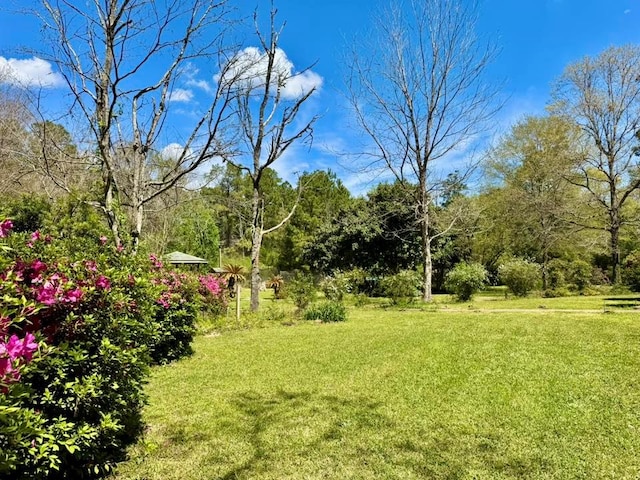 179 County Road 4587, Spurger, TX 77660 - view of green lawn