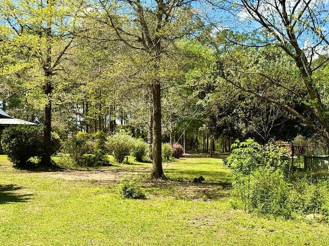 179 County Road 4587, Spurger, TX 77660 - view of green lawn