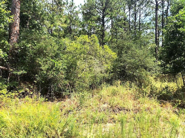 275 Tamarack, Brookeland, TX 75931