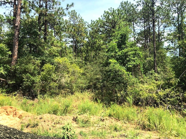 275 Tamarack, Brookeland, TX 75931