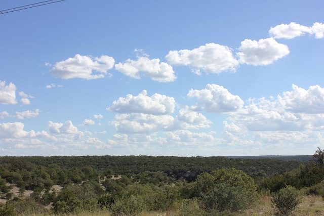 Listing photo 3 for PID3142 Fm 2169, Junction TX 76849