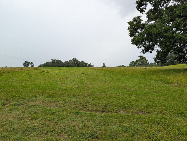 LOT02A Charleston St, Trinity, TX 75862 - photo 4