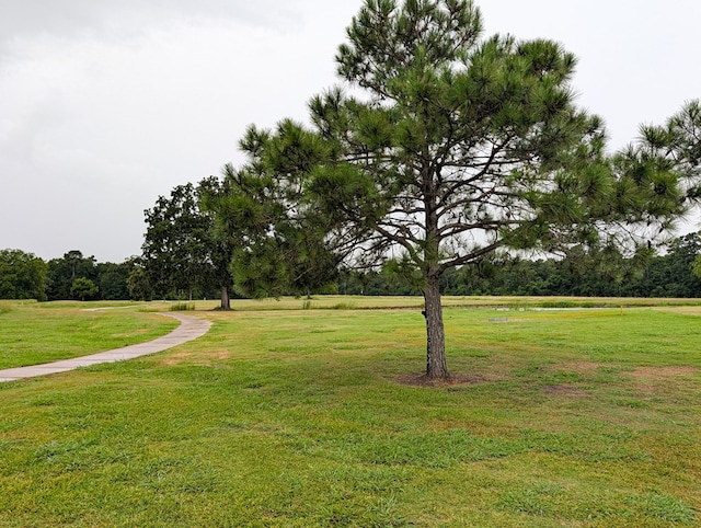 LOT02A Charleston St, Trinity, TX 75862 - photo 5