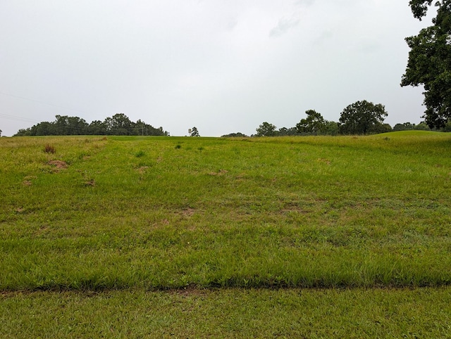 LOT02A Charleston St, Trinity, TX 75862 - photo 3