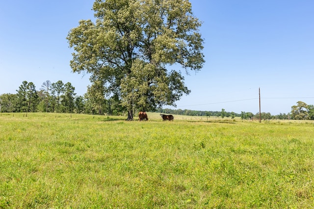 R13687 Cheeseland Rd, Pollok, TX 75969
