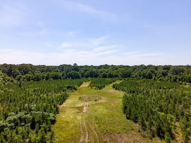 R13687 Cheeseland Rd, Pollok, TX 75969