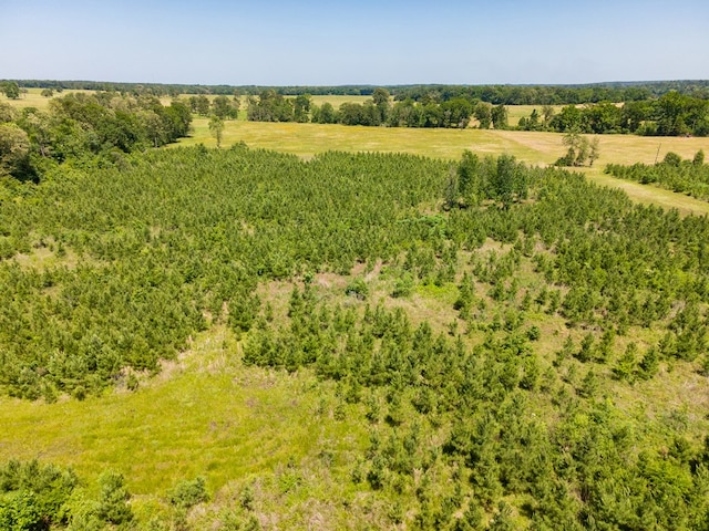 R13687 Cheeseland Rd, Pollok, TX 75969