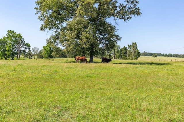 R13687 Cheeseland Rd, Pollok, TX 75969