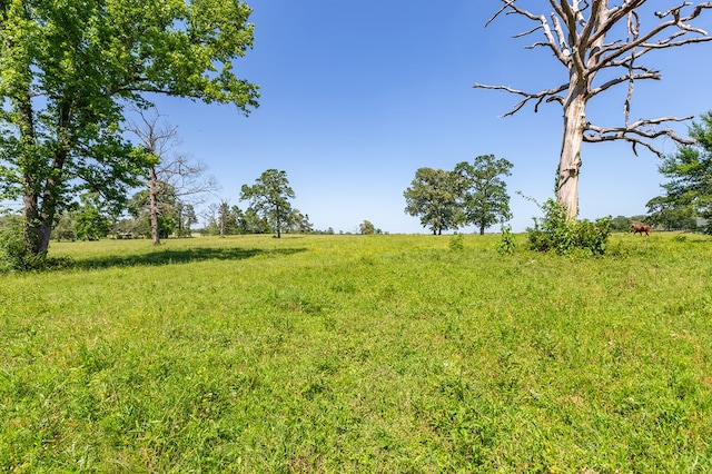 R13687 Cheeseland Rd, Pollok, TX 75969