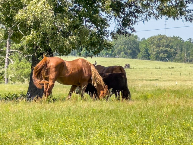 R13687 Cheeseland Rd, Pollok, TX 75969