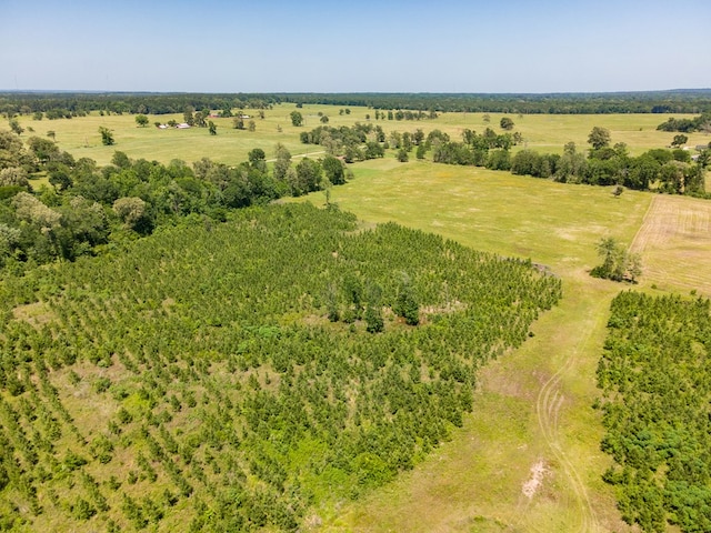 R13687 Cheeseland Rd, Pollok, TX 75969