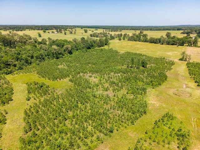 R13687 Cheeseland Rd, Pollok, TX 75969