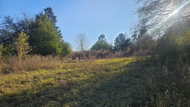 607 County Road 134, Garrison TX, 75946 land for sale