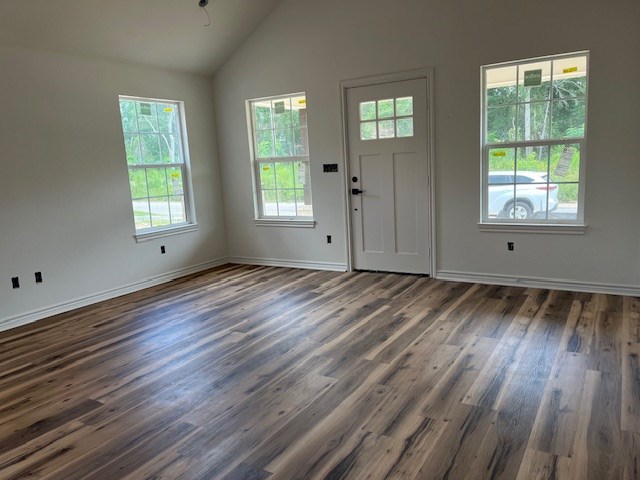 foyer entrance featuring dark hardwood / wood-style flooring and high vaulted ceiling