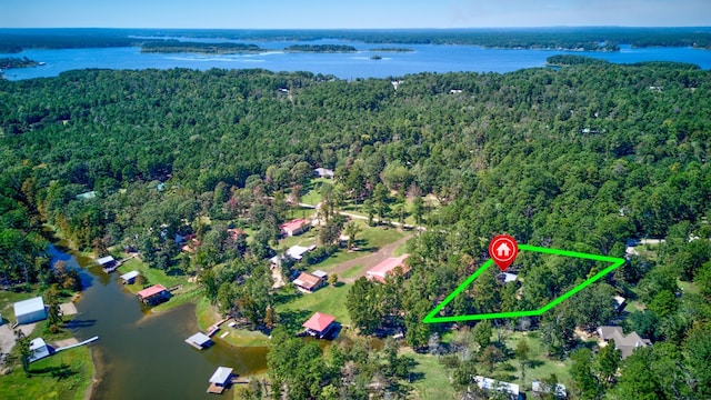 131 Oak Ln, Hemphill, TX 75948 - bird's eye view featuring a wooded view and a water view