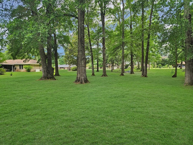 2104 Pinecrest Dr, Jasper, TX 75951 - view of green lawn