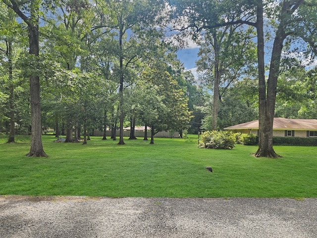 2104 Pinecrest Dr, Jasper, TX 75951 - view of property's community featuring a lawn
