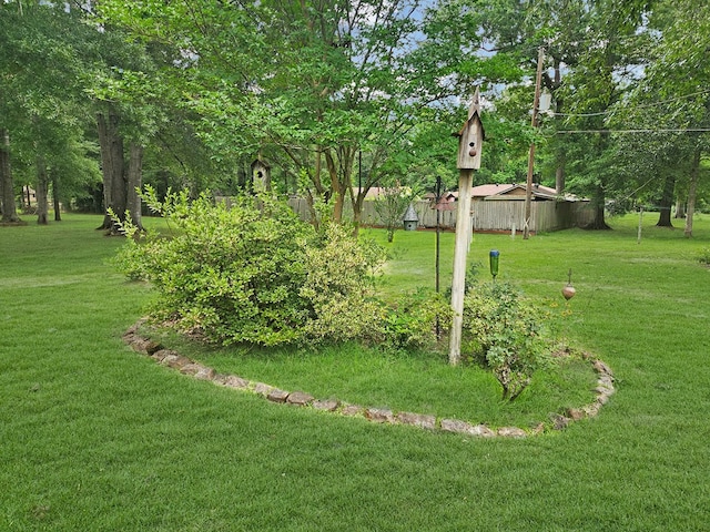2104 Pinecrest Dr, Jasper, TX 75951 - view of green lawn