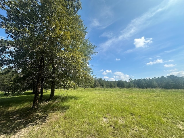 612 Black Squirrel Dr, Brookeland, TX 75931