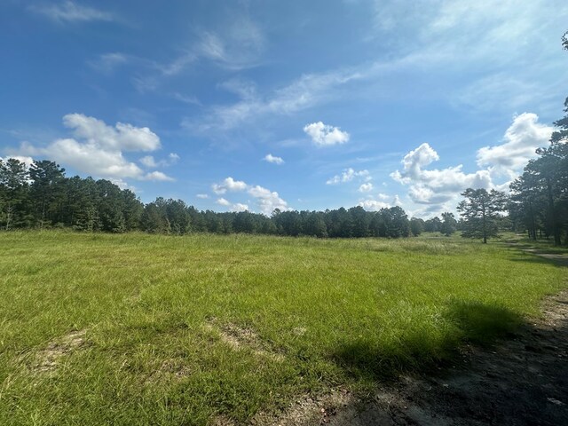 612 Black Squirrel Dr, Brookeland, TX 75931