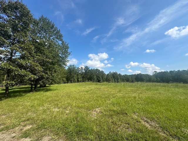 612 Black Squirrel Dr, Brookeland, TX 75931