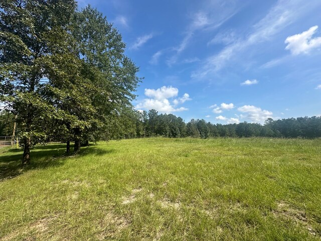 612 Black Squirrel Dr, Brookeland, TX 75931