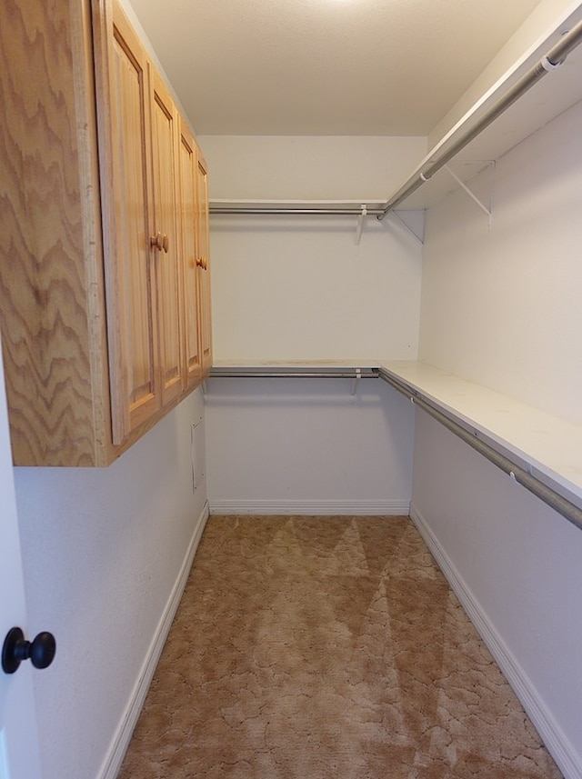 157 Sandalwood, Lufkin, TX 75904 - walk in closet with light carpet
