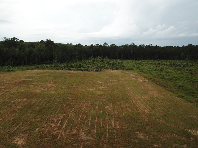 315PR5079 County Road 510, Kirbyville, TX 75956 - photo 10