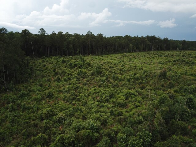 315PR5079 County Road 510, Kirbyville, TX 75956 - photo 9