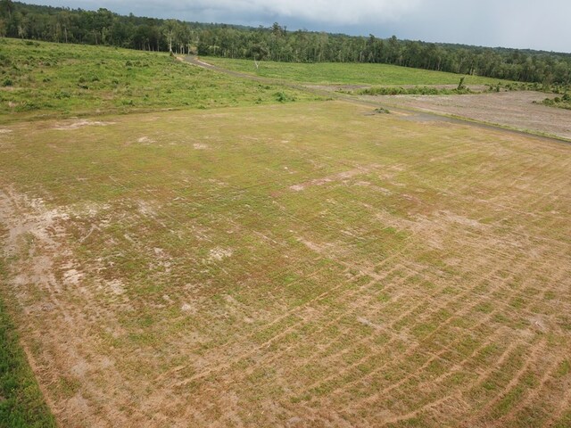 315PR5079 County Road 510, Kirbyville, TX 75956 - photo 6