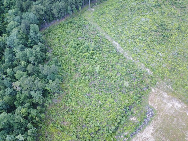 315PR5079 County Road 510, Kirbyville, TX 75956 - photo 7