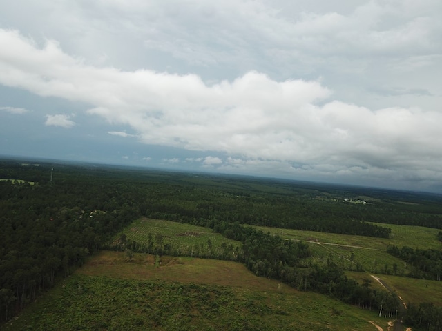 315PR5079 County Road 510, Kirbyville, TX 75956 - photo 8