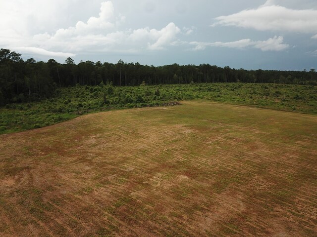 315PR5079 County Road 510, Kirbyville, TX 75956 - photo 3