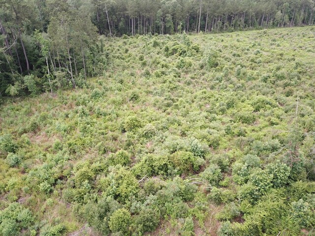 315PR5079 County Road 510, Kirbyville, TX 75956 - photo 16