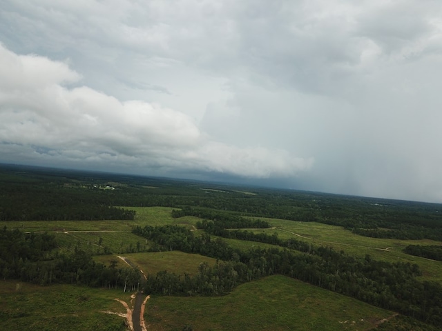 315PR5079 County Road 510, Kirbyville, TX 75956 - photo 2