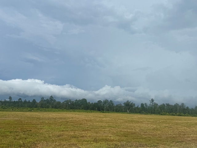 315PR5079 County Road 510, Kirbyville, TX 75956 - photo 11