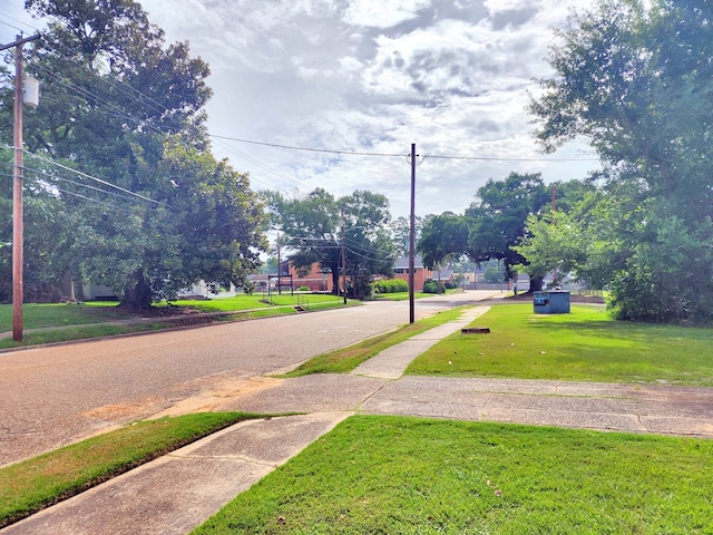 337 College St, Jasper, TX 75951 - photo 27